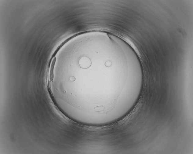 X0000111901132200909071131