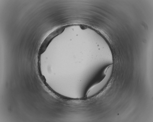 X0000111901134200909071131