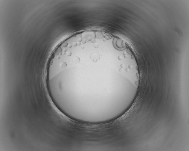 X0000111901135200909071131