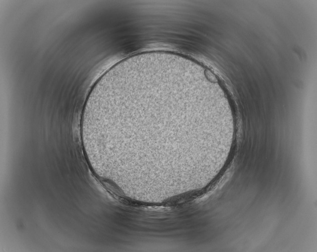 X0000111901137200909071131