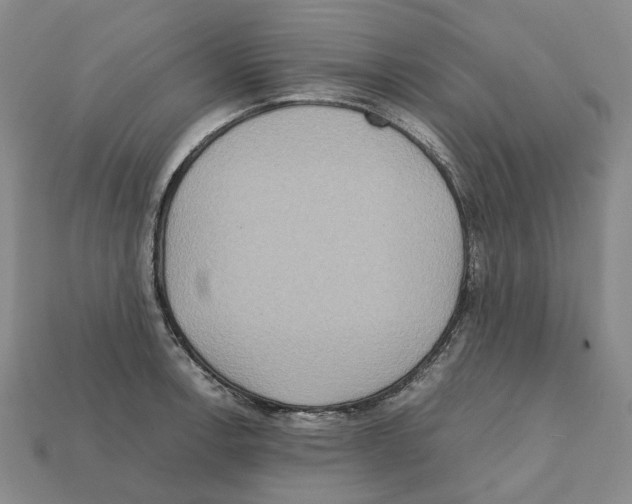 X0000111901138200909071131