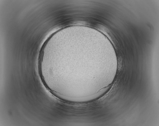 X0000111901139200909071131