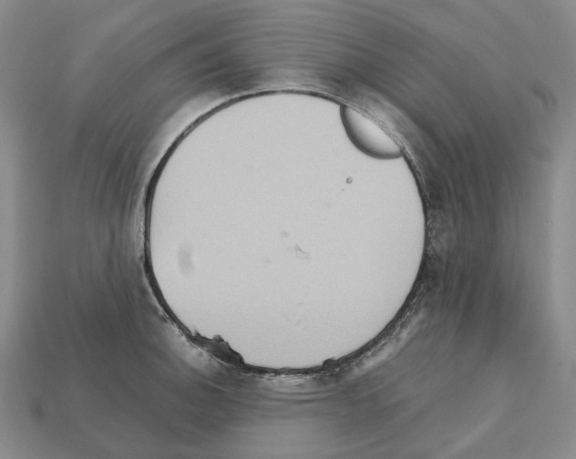 X0000111901140200909071131