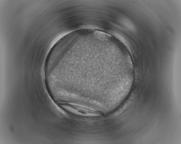 X0000111901141200909071131