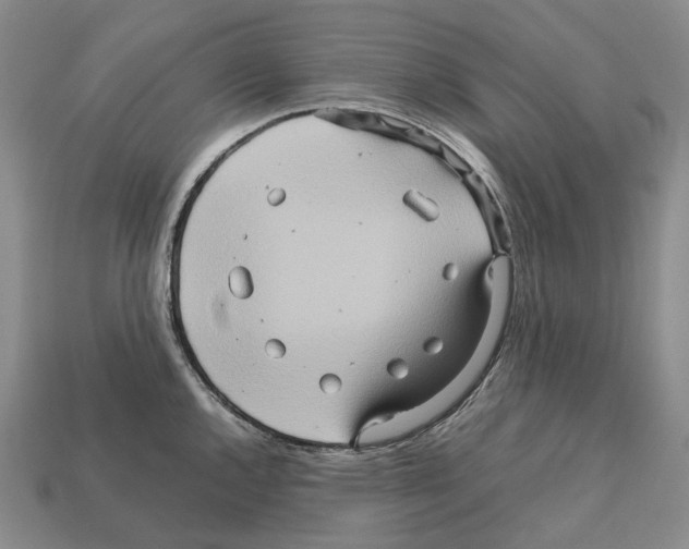 X0000111901144200909071131