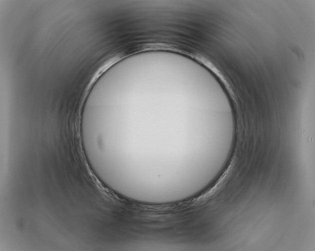 X0000111901145200909071131