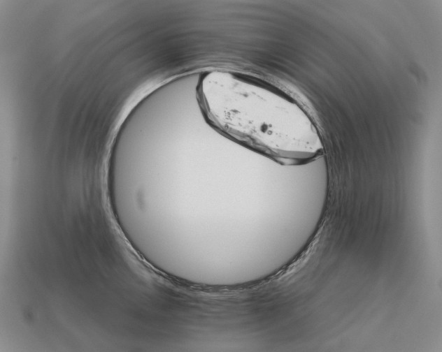 X0000111901146200909071131