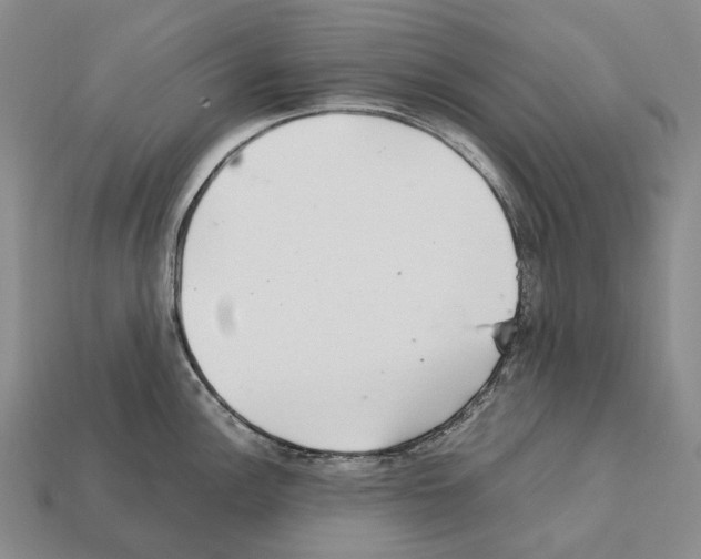 X0000111901148200909071131