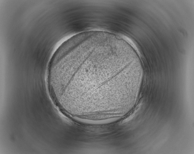 X0000111901149200909071131