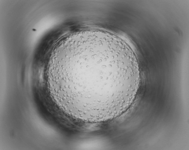 X0000111901150200909071131