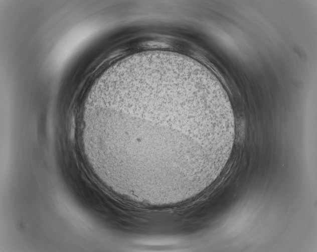 X0000111901151200909071131