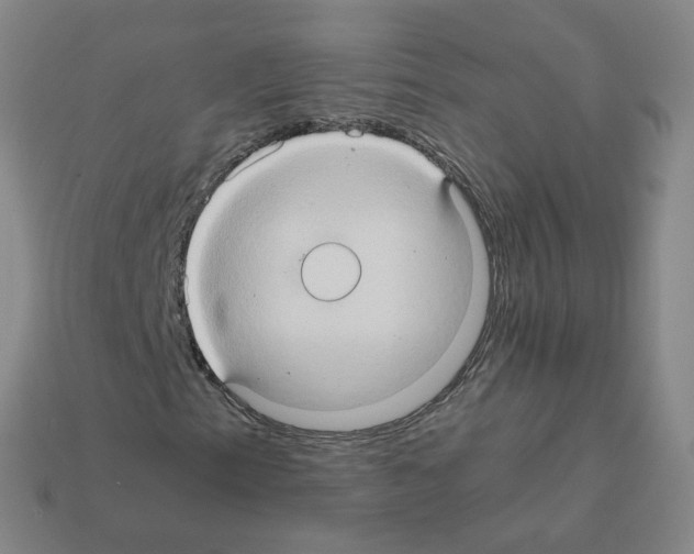 X0000111901153200909071130