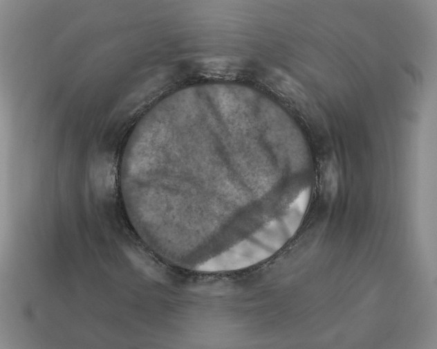 X0000111901154200909071130