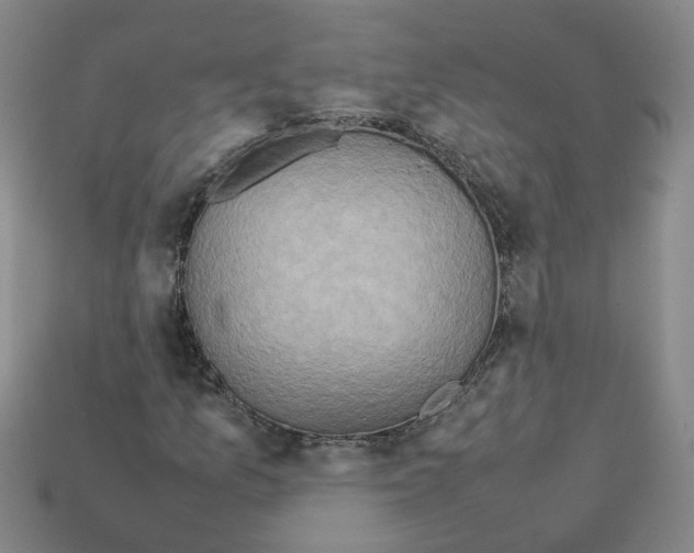 X0000111901157200909071130