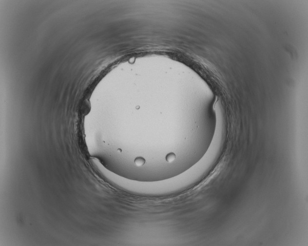 X0000111901161200909071130