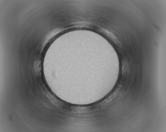 X0000111901164200909071130