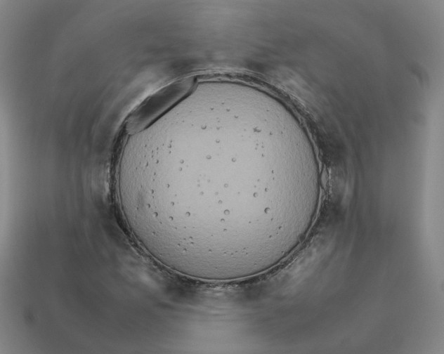 X0000111901165200909071130