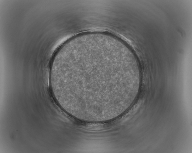 X0000111901171200909071130