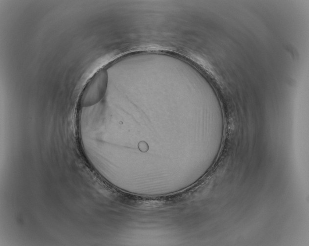 X0000111901173200909071130