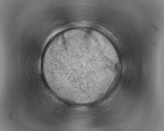 X0000111901174200909071130