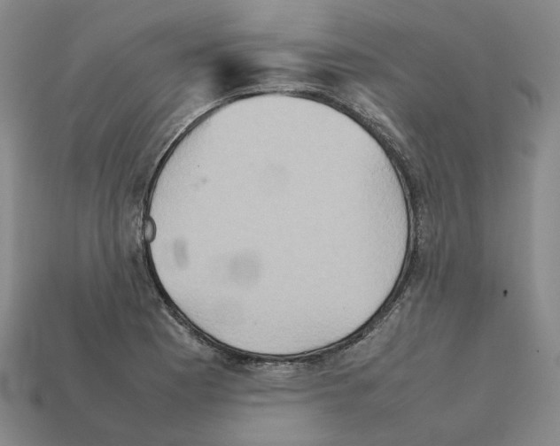 X0000111901177200909071130