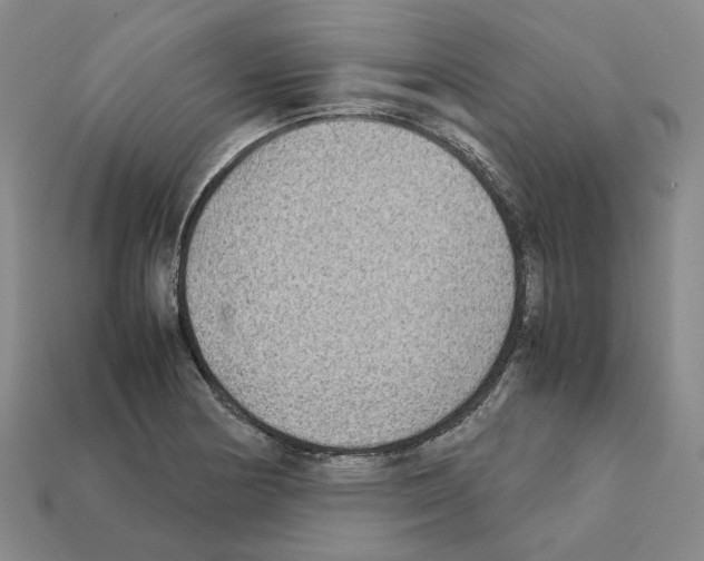 X0000111901178200909071130