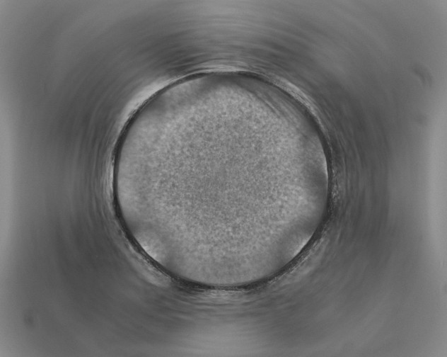 X0000111901179200909071130