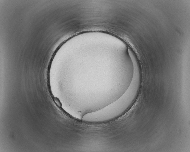 X0000111901181200909071130