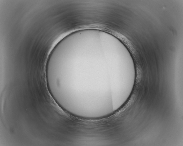 X0000111901184200909071130