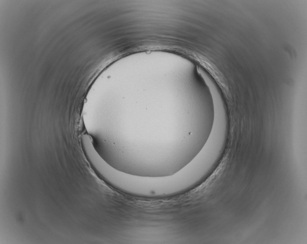 X0000111901185200909071130