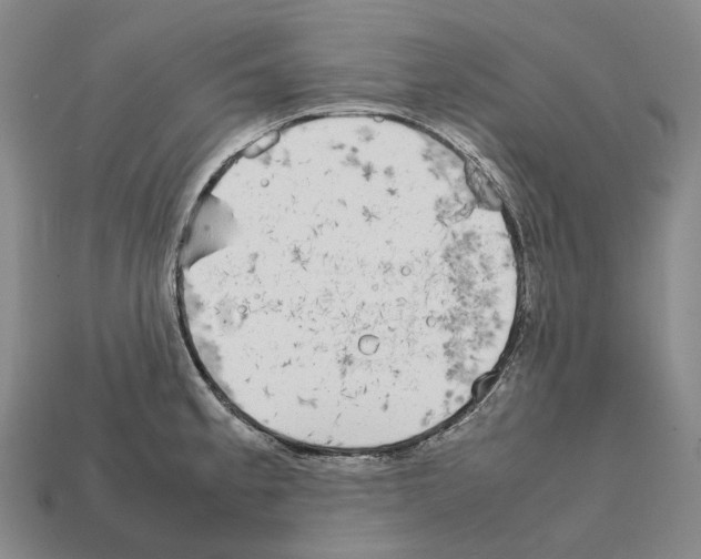 X0000111901189200909071130