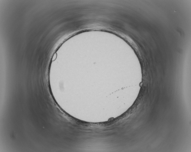 X0000111901191200909071130