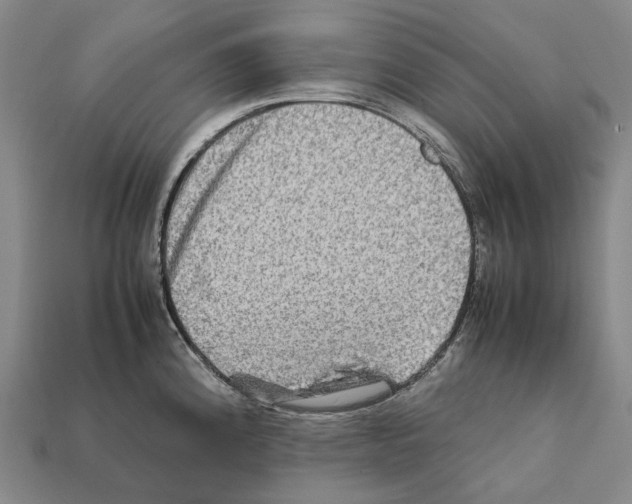 X0000111901192200909071130