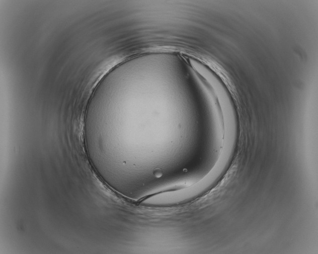 X0000111901193200909071130