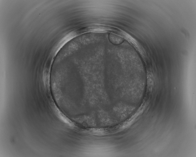 X0000111901194200909071130