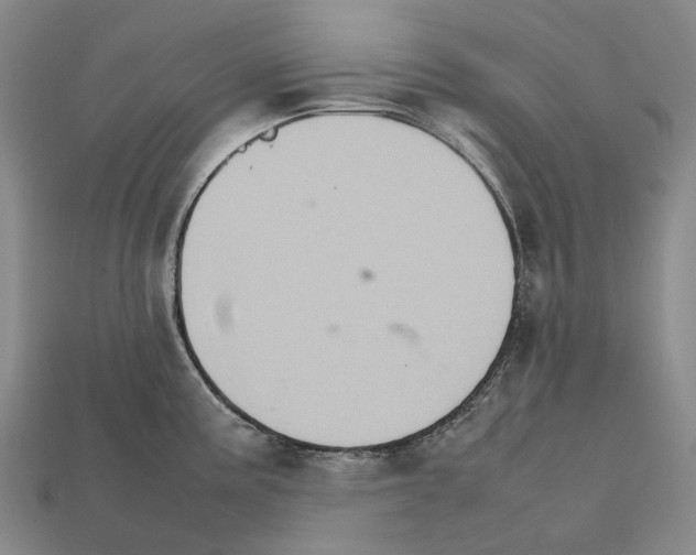 X0000111901195200909071130