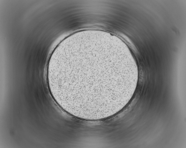 X0000111901196200909071129