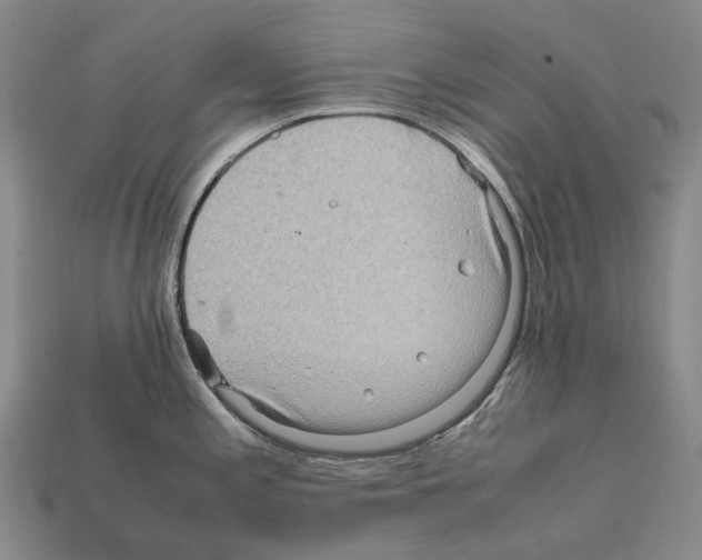 X0000111901197200909071129