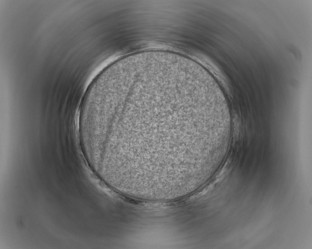 X0000111901198200909071129