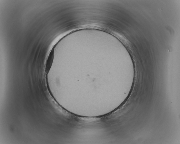 X0000111901200200909071129