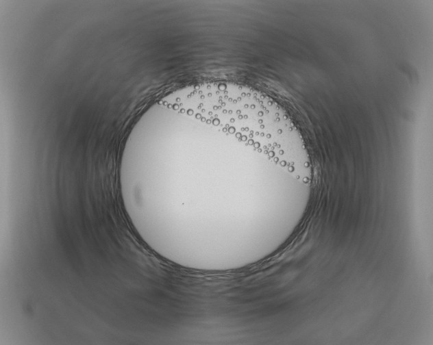 X0000111901202200909071129