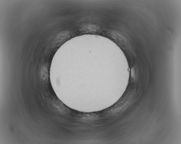 X0000111901203200909071129