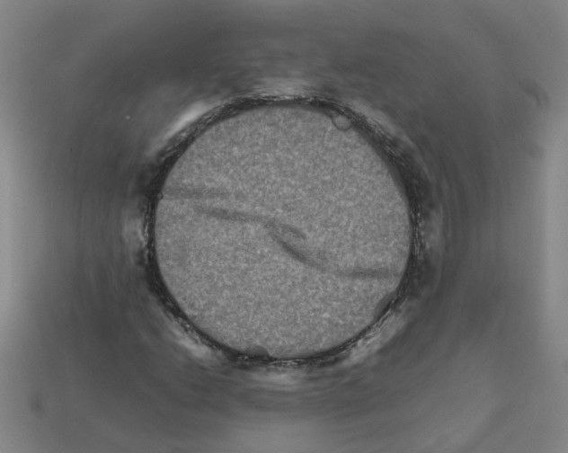 X0000111901206200909071129