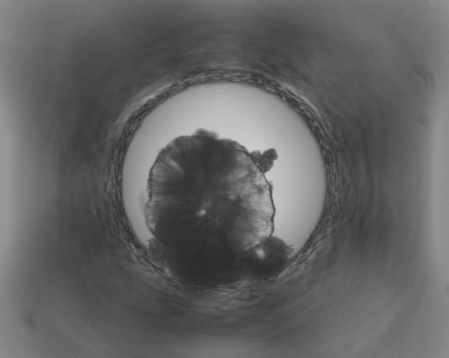 X0000111901207200909071129