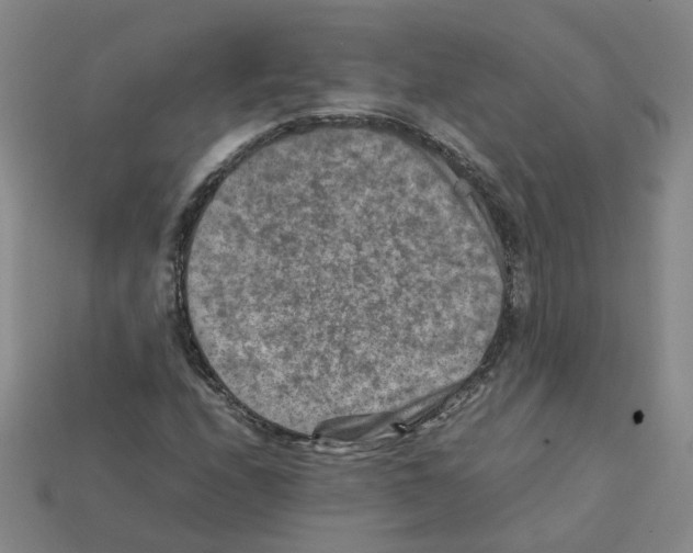 X0000111901208200909071129