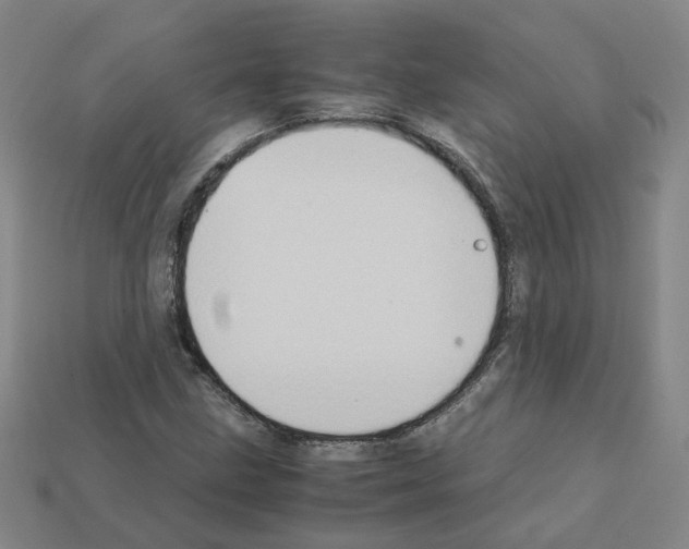 X0000111901211200909071129