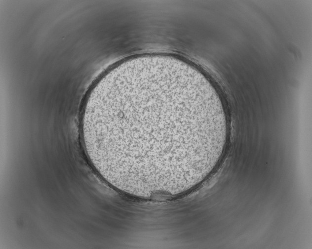 X0000111901212200909071129