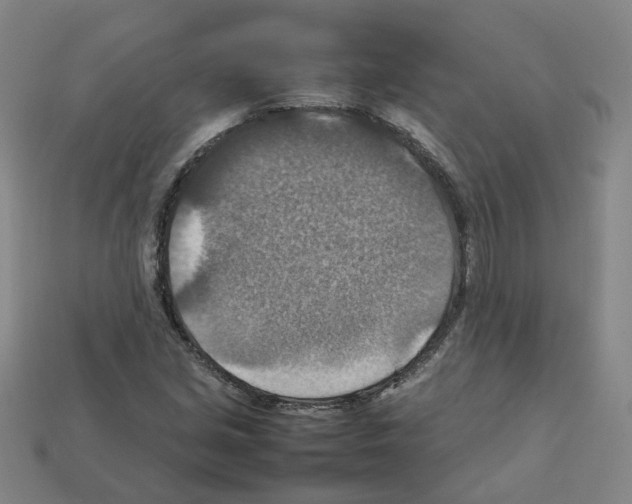 X0000111901213200909071129