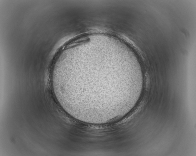 X0000111901215200909071129