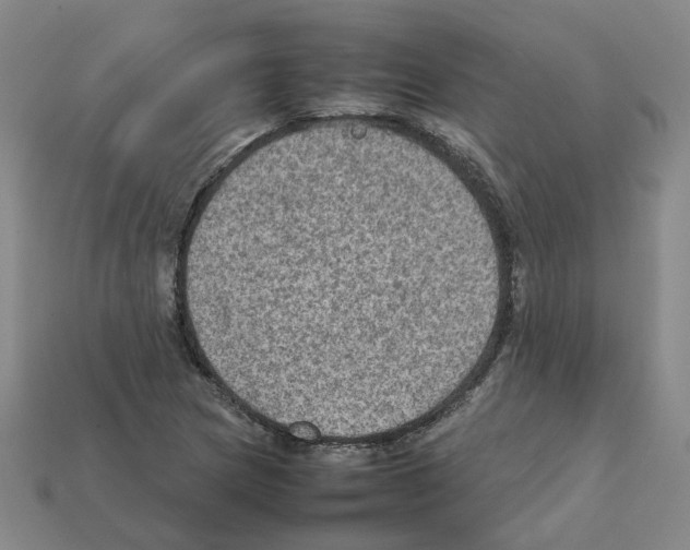 X0000111901217200909071129